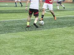 当红网红向,迪丽热巴求,横幅跪地求,678体育平台,678体育官方网站,678体育登录入口,678体育app下载