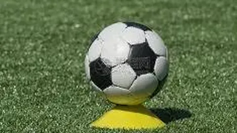 郭士强谈中国男篮：肩负重压，奥运梦想成真为目标