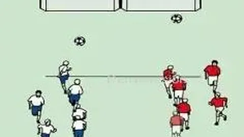 678体育 资讯 113903 olf