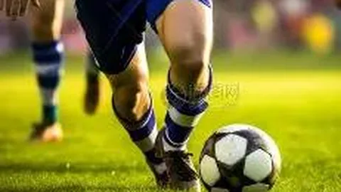 678体育 资讯 113819 32w