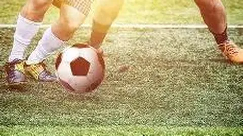 “2025年11月19日体坛快讯”